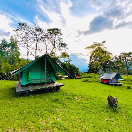 Ecoxplora-Zona De Camping Jardín Dış mekan fotoğraf