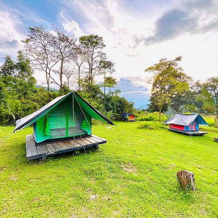 Ecoxplora-Zona De Camping Jardín Dış mekan fotoğraf