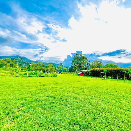 Ecoxplora-Zona De Camping Jardín Dış mekan fotoğraf