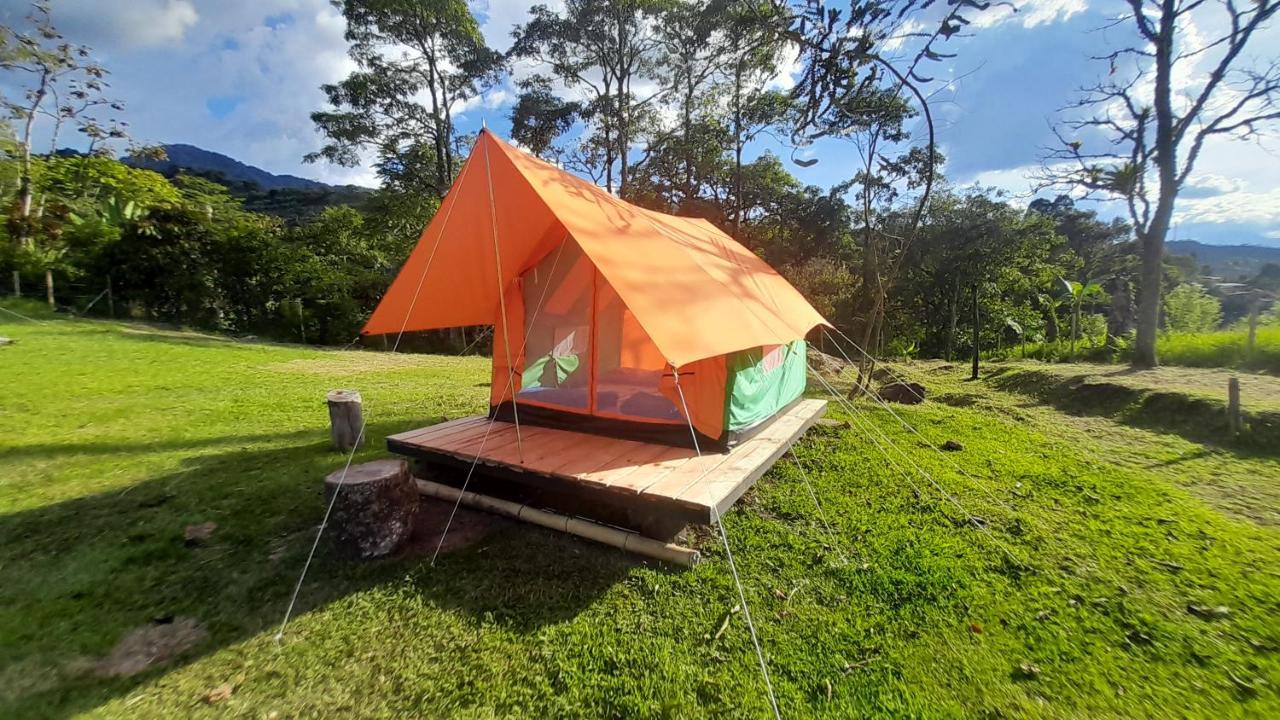 Ecoxplora-Zona De Camping Jardín Dış mekan fotoğraf