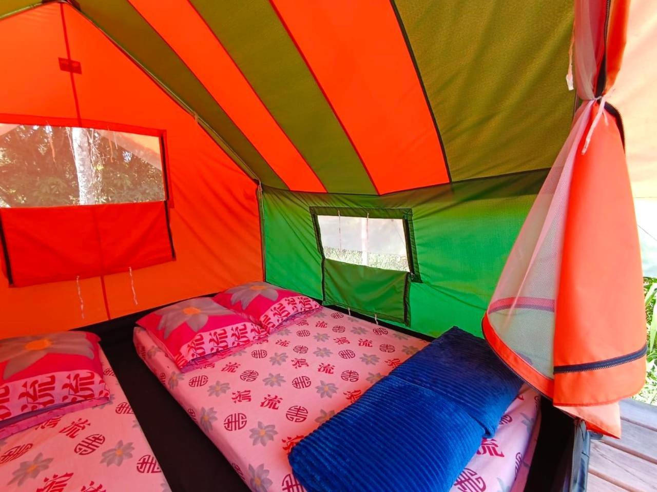 Ecoxplora-Zona De Camping Jardín Dış mekan fotoğraf