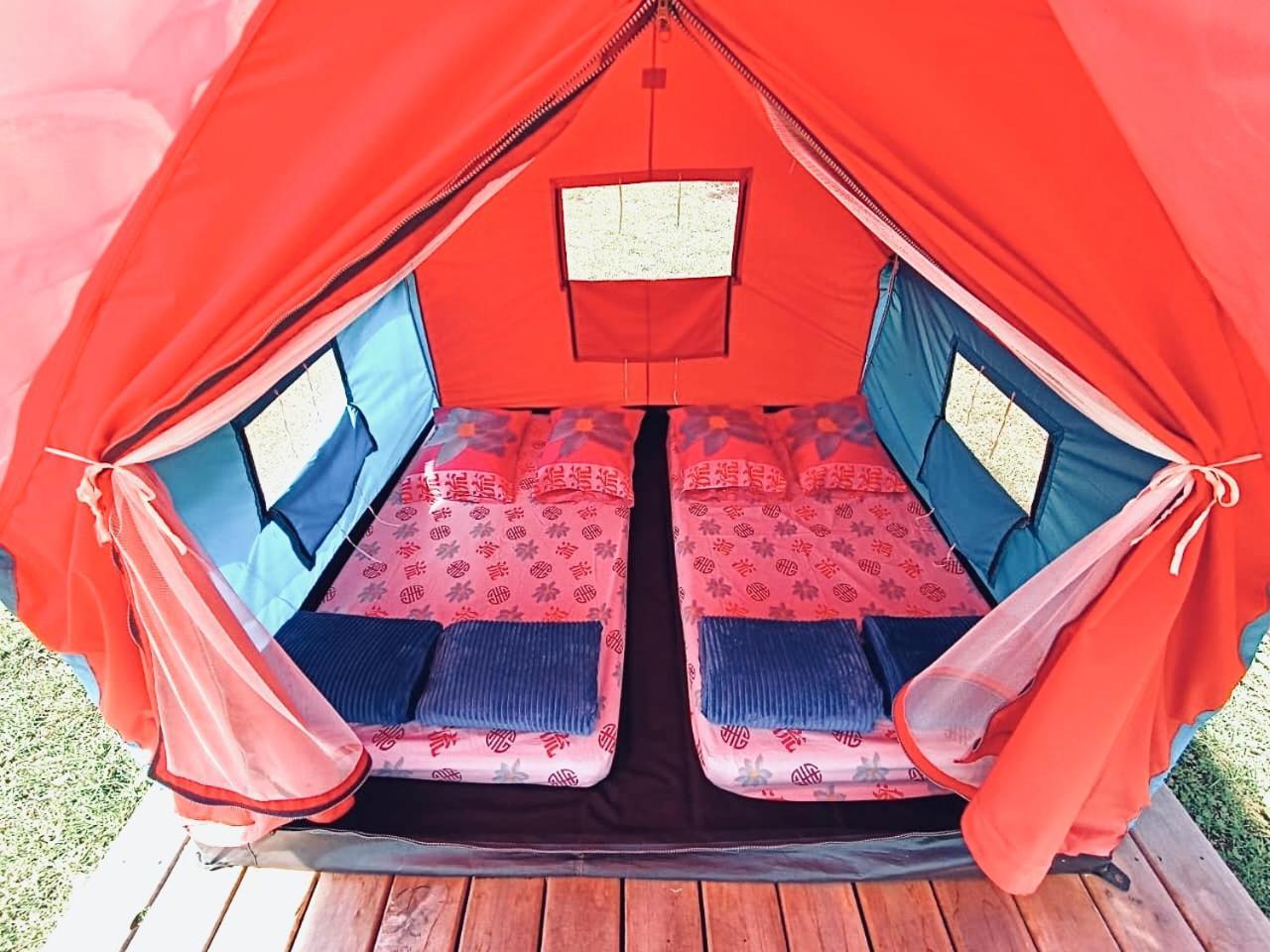 Ecoxplora-Zona De Camping Jardín Dış mekan fotoğraf