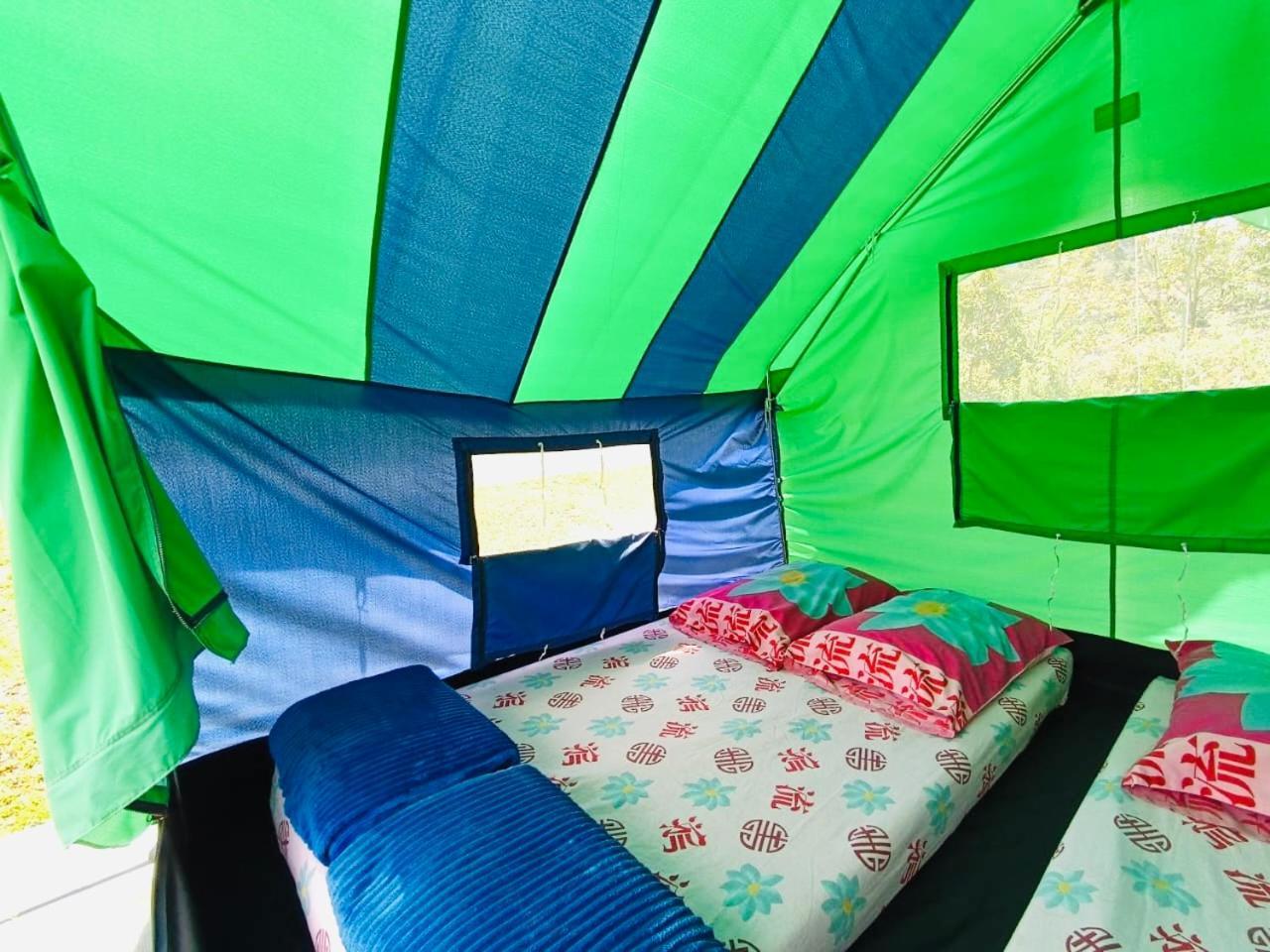 Ecoxplora-Zona De Camping Jardín Dış mekan fotoğraf