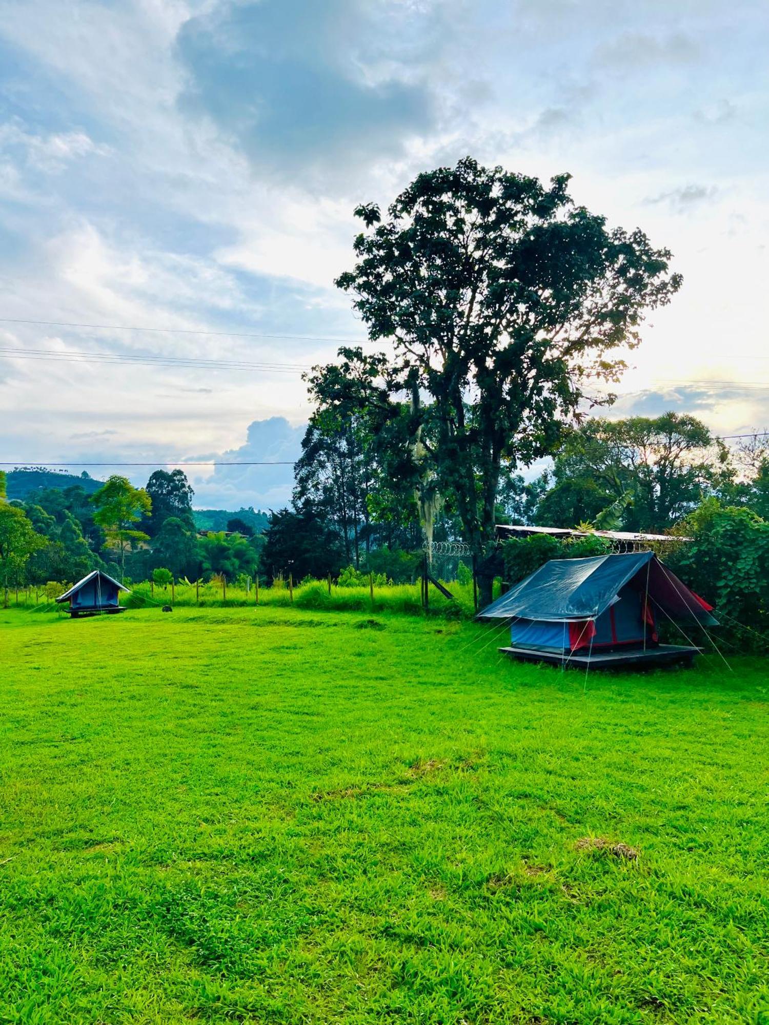 Ecoxplora-Zona De Camping Jardín Dış mekan fotoğraf