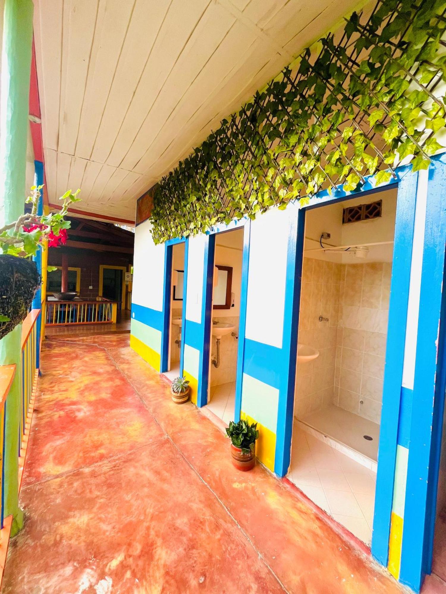 Ecoxplora-Zona De Camping Jardín Dış mekan fotoğraf