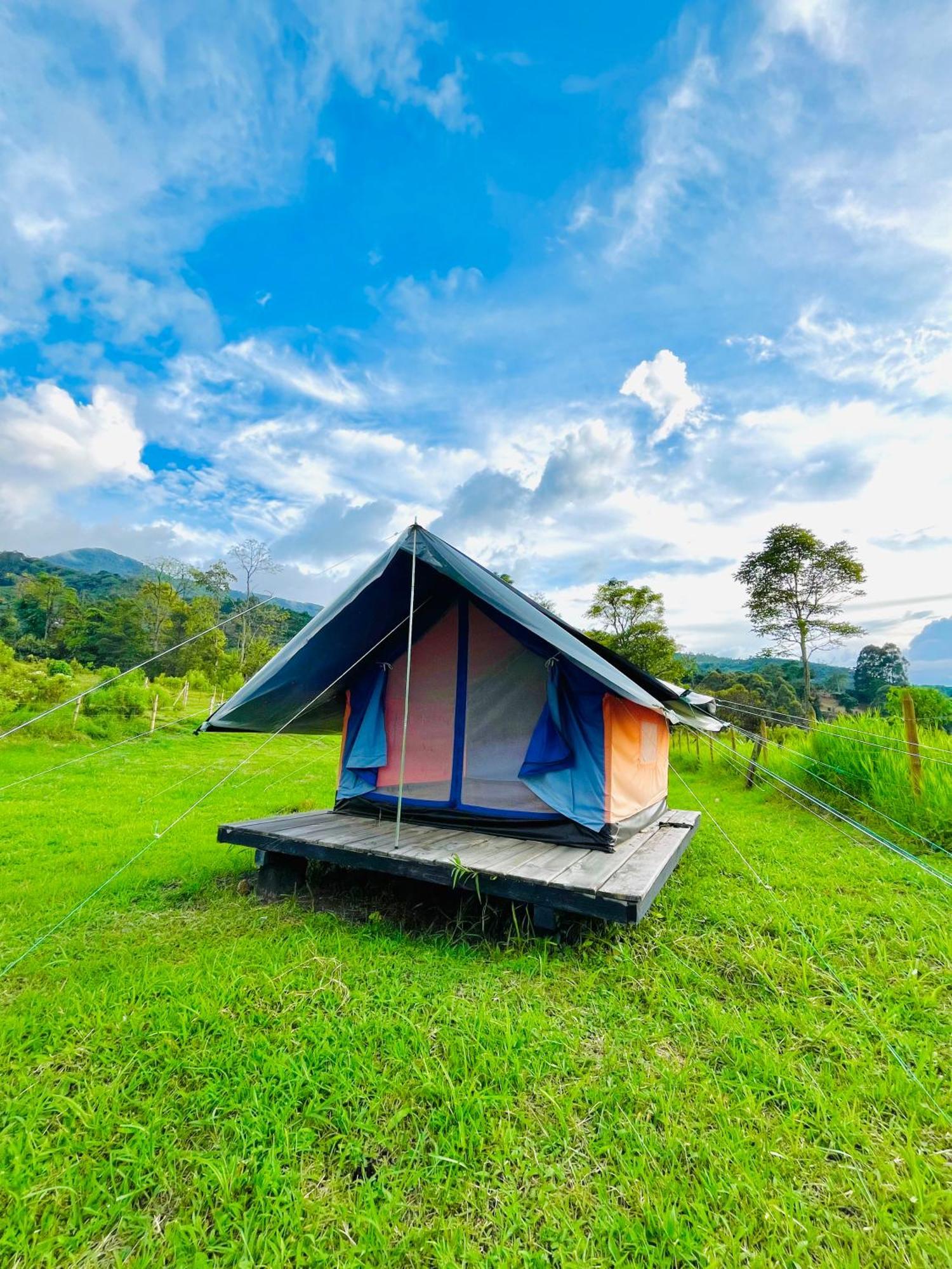 Ecoxplora-Zona De Camping Jardín Dış mekan fotoğraf