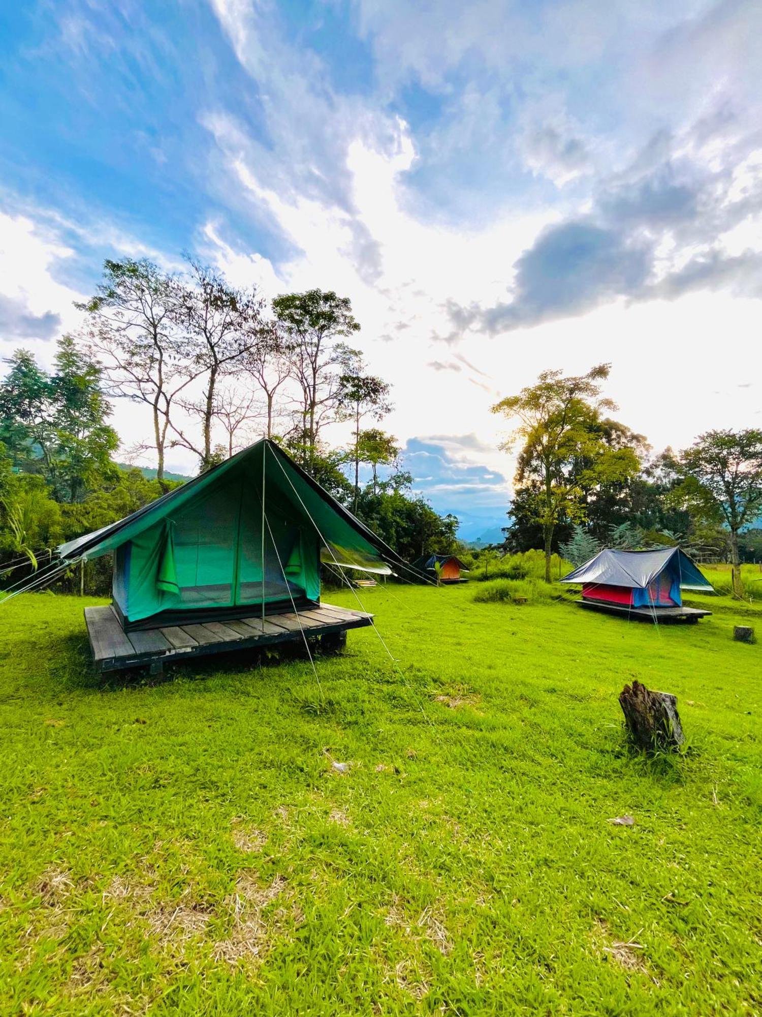 Ecoxplora-Zona De Camping Jardín Dış mekan fotoğraf