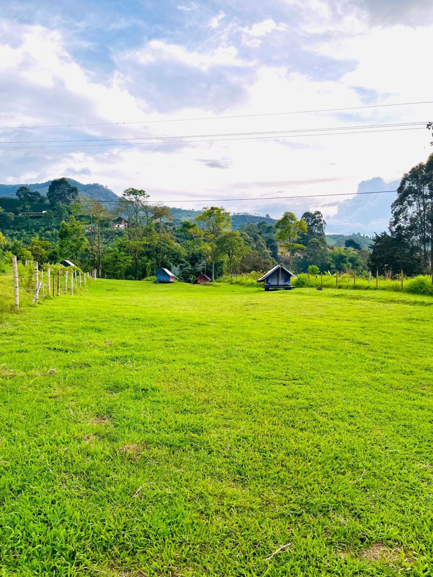 Ecoxplora-Zona De Camping Jardín Dış mekan fotoğraf