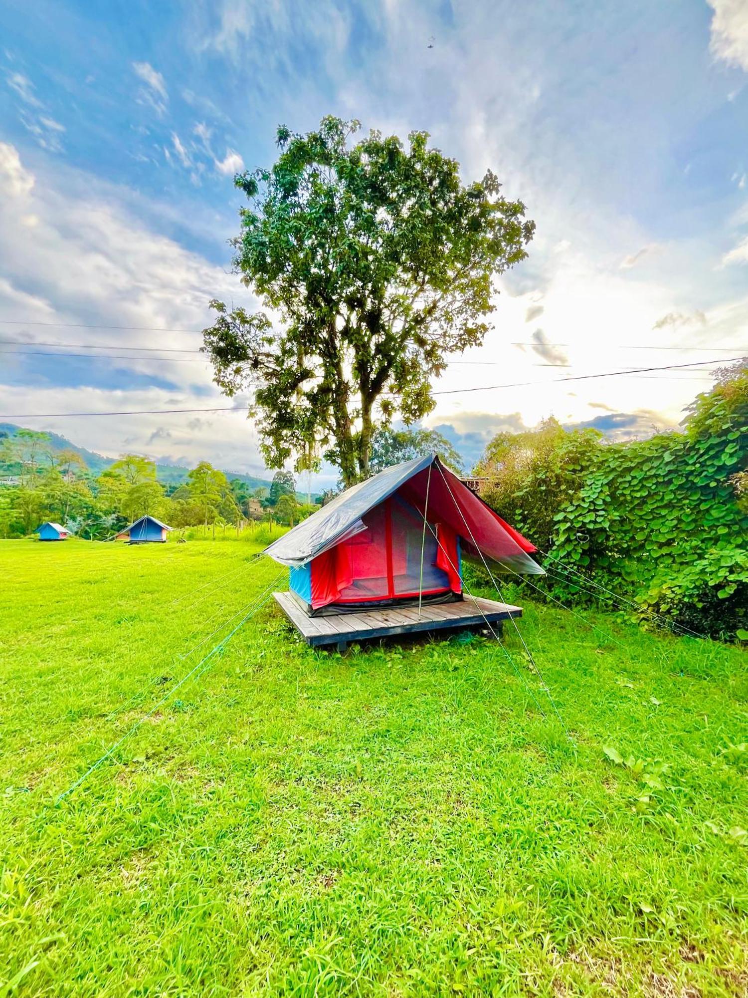 Ecoxplora-Zona De Camping Jardín Dış mekan fotoğraf
