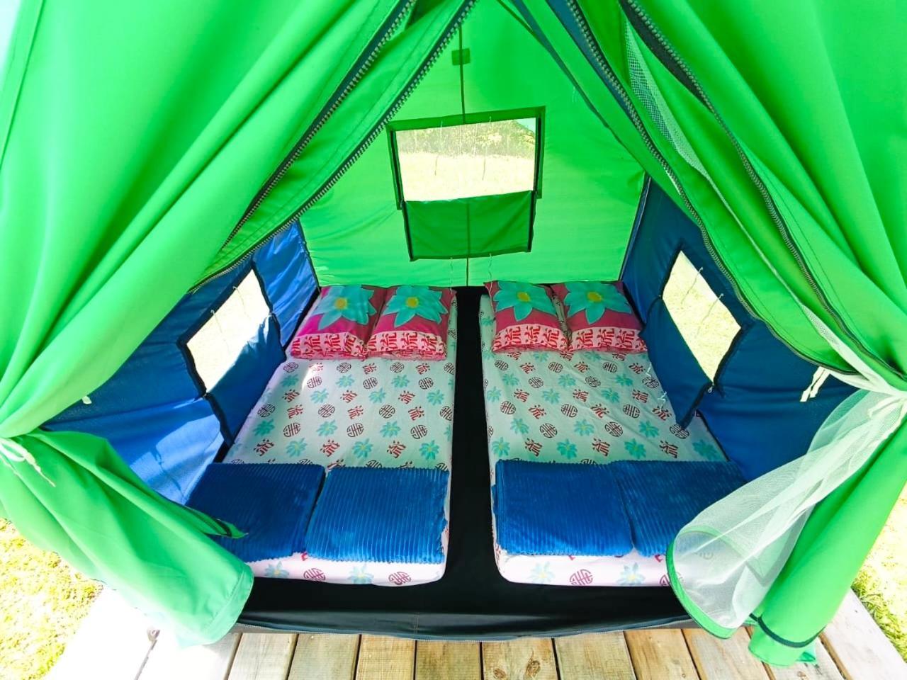 Ecoxplora-Zona De Camping Jardín Dış mekan fotoğraf