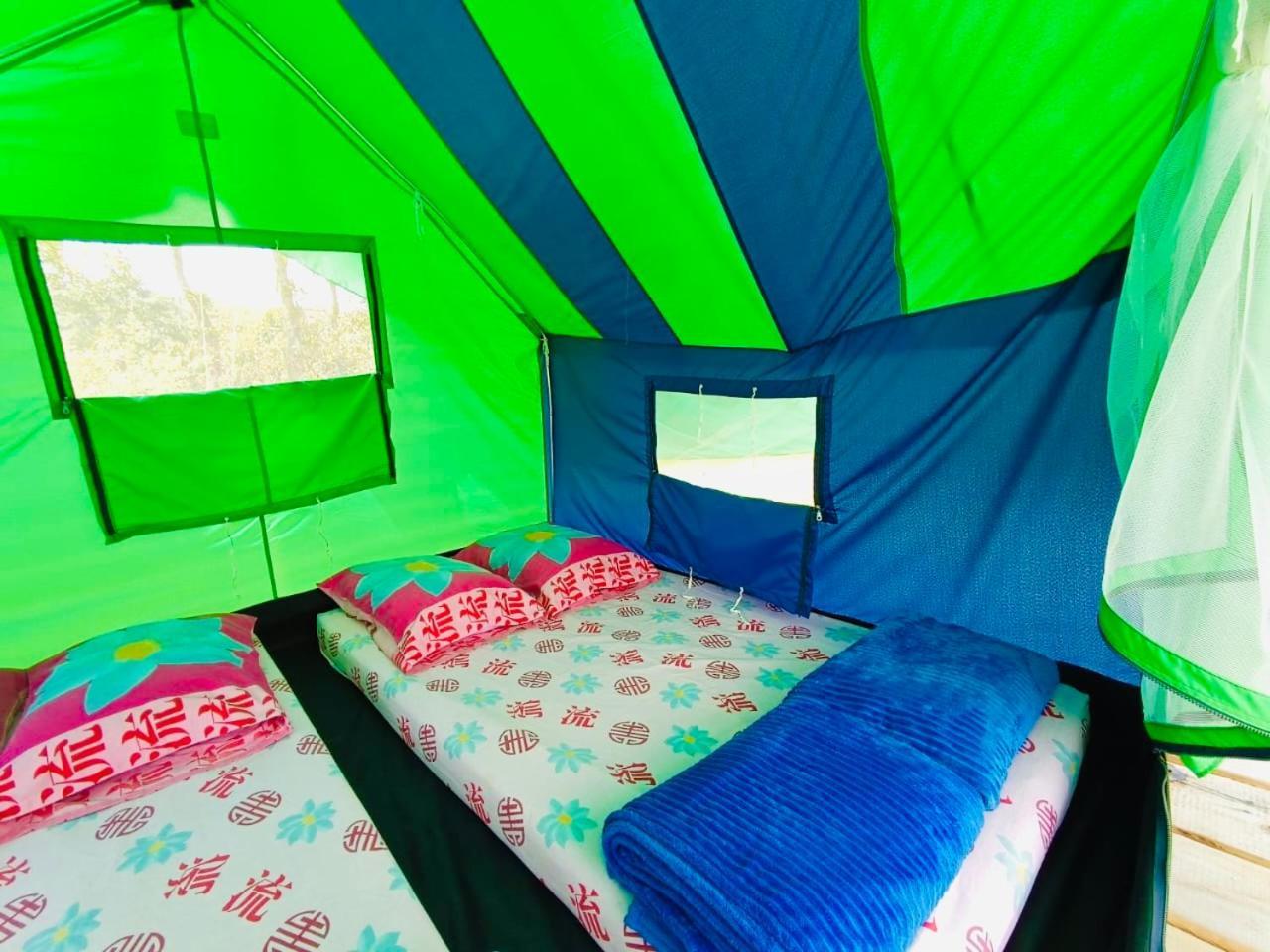 Ecoxplora-Zona De Camping Jardín Dış mekan fotoğraf