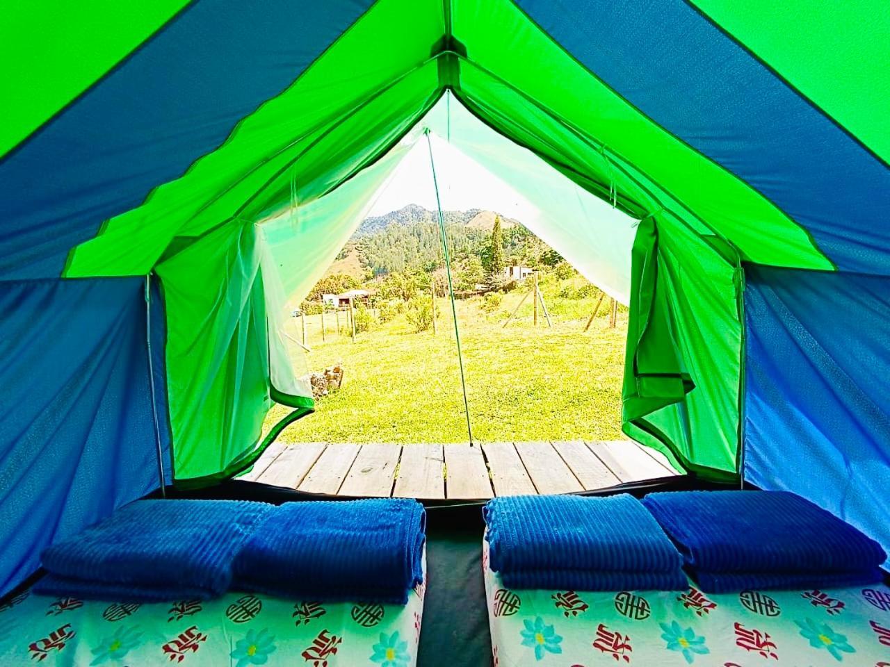 Ecoxplora-Zona De Camping Jardín Dış mekan fotoğraf