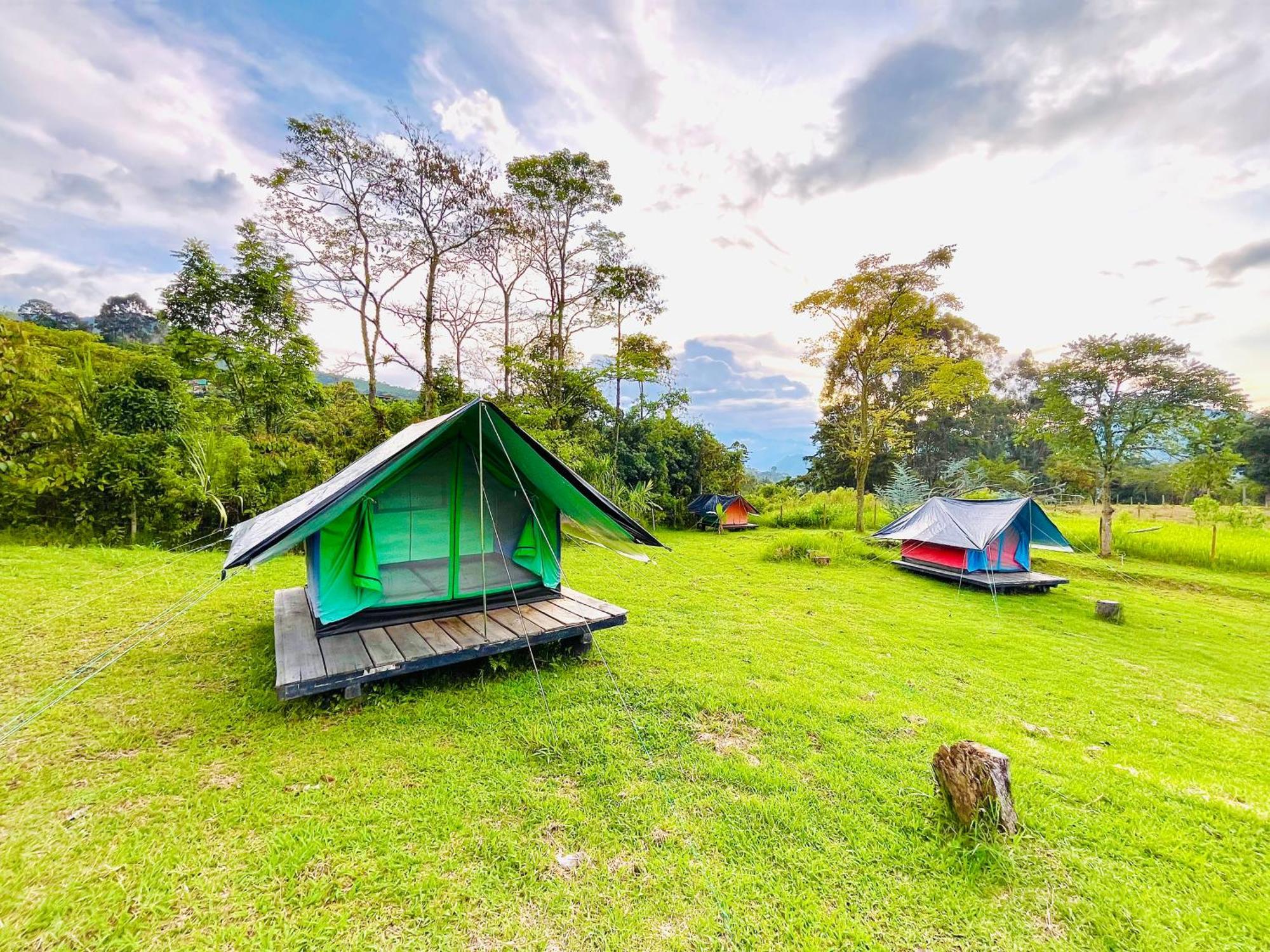 Ecoxplora-Zona De Camping Jardín Dış mekan fotoğraf