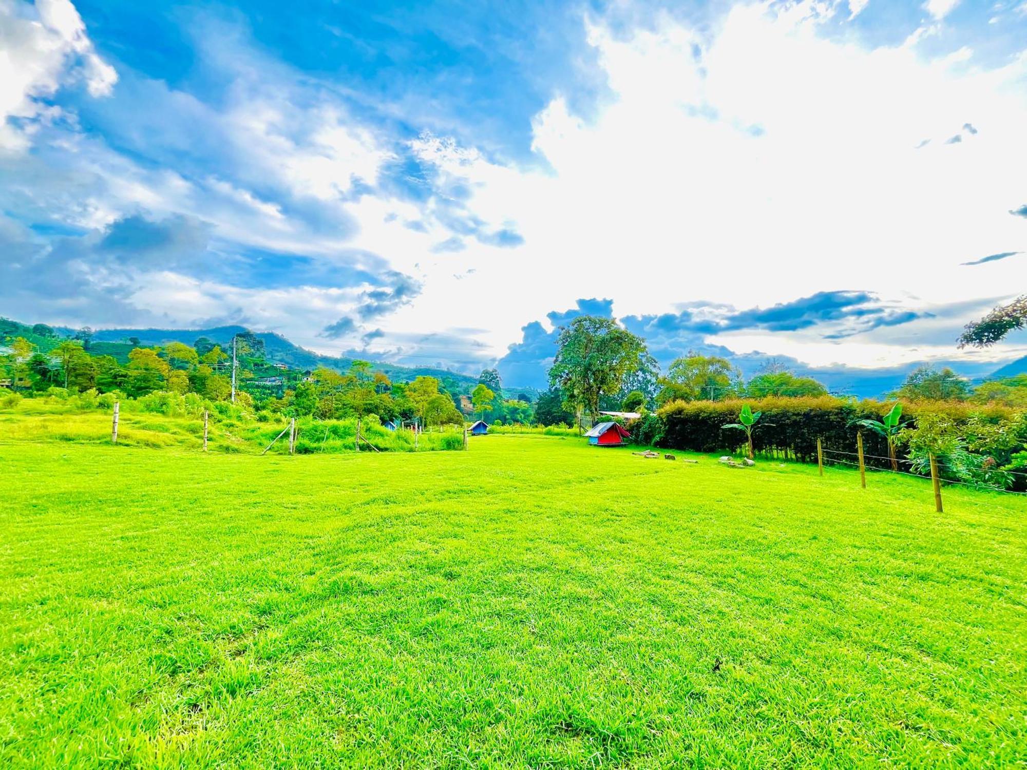 Ecoxplora-Zona De Camping Jardín Dış mekan fotoğraf