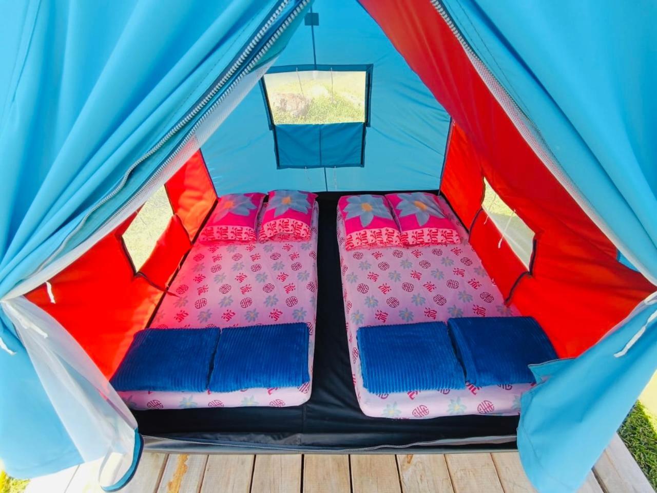 Ecoxplora-Zona De Camping Jardín Dış mekan fotoğraf