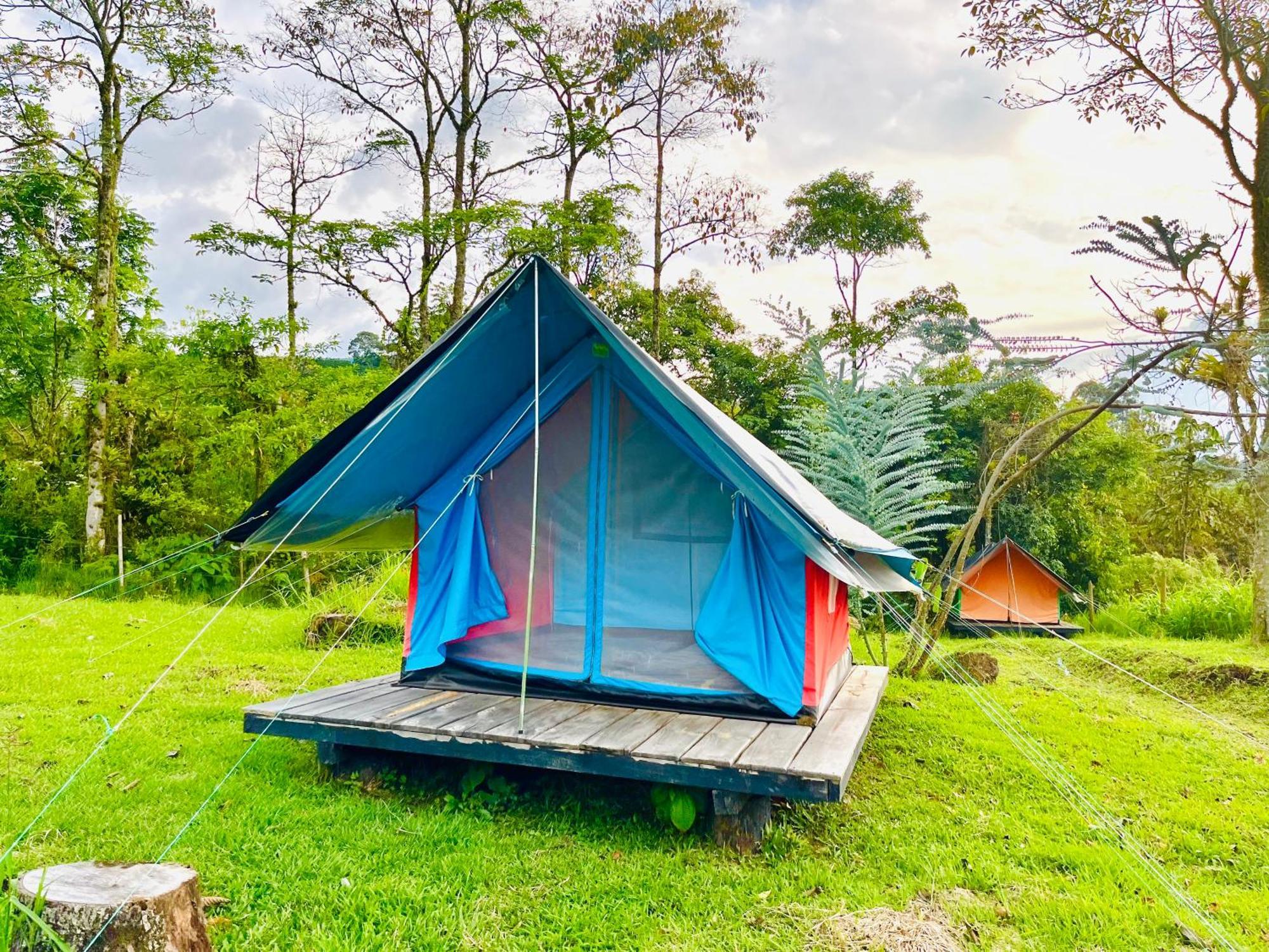 Ecoxplora-Zona De Camping Jardín Dış mekan fotoğraf