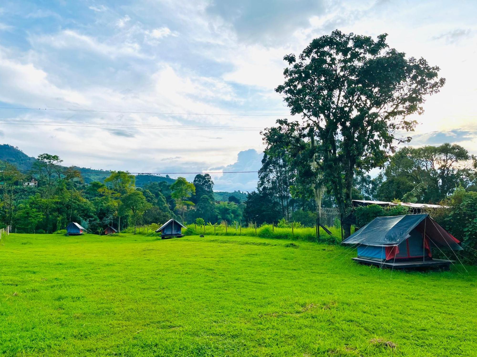 Ecoxplora-Zona De Camping Jardín Dış mekan fotoğraf