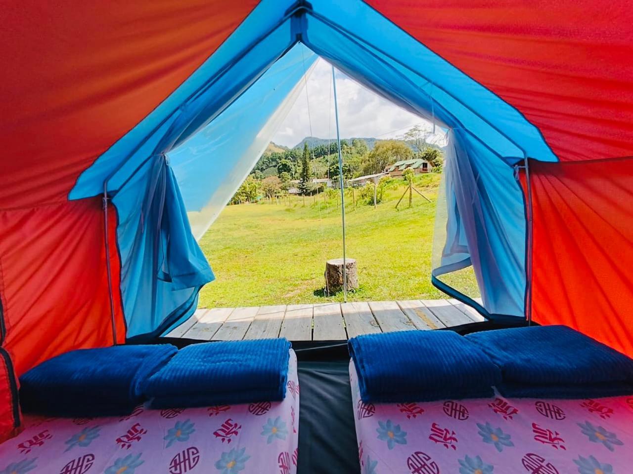 Ecoxplora-Zona De Camping Jardín Dış mekan fotoğraf