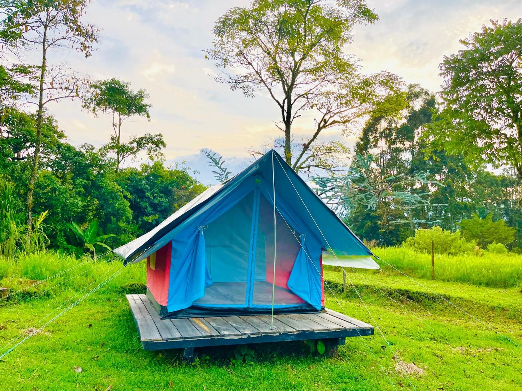 Ecoxplora-Zona De Camping Jardín Dış mekan fotoğraf
