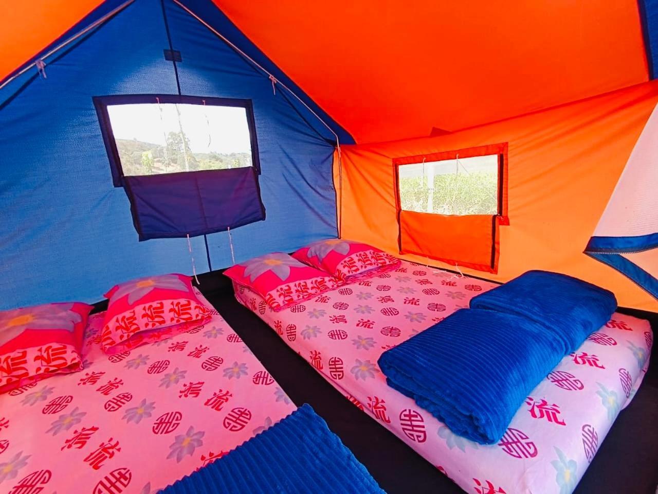 Ecoxplora-Zona De Camping Jardín Dış mekan fotoğraf