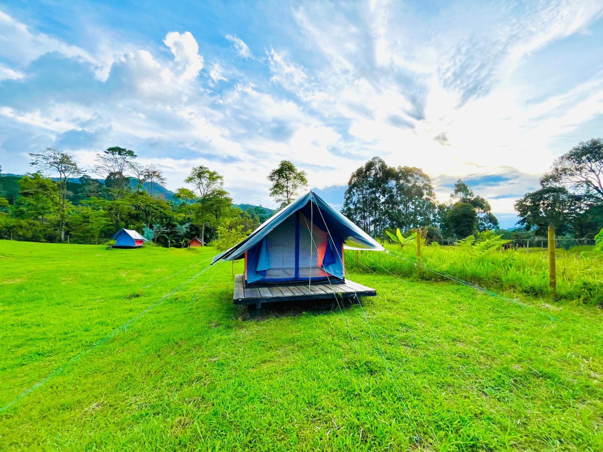 Ecoxplora-Zona De Camping Jardín Dış mekan fotoğraf