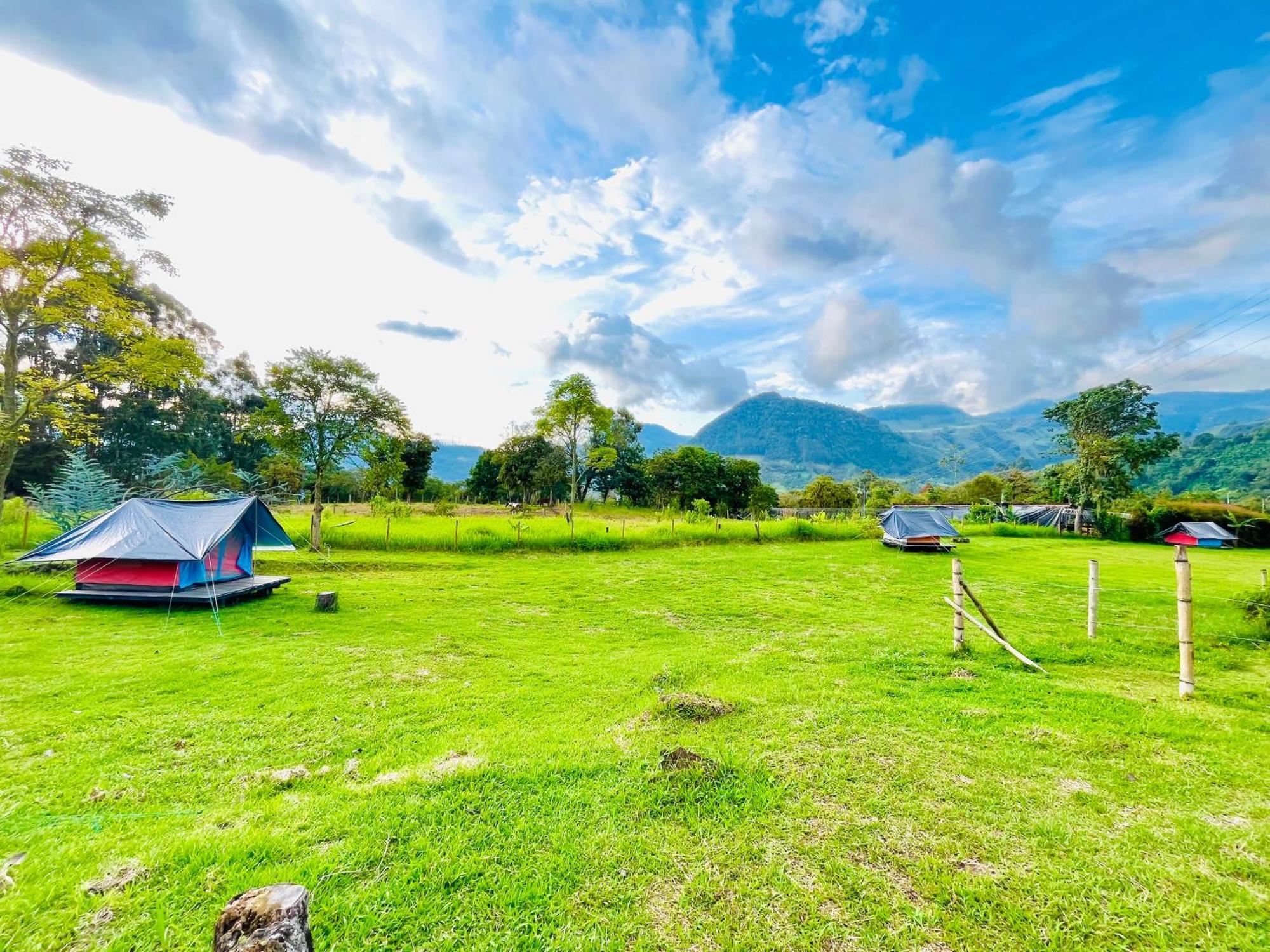 Ecoxplora-Zona De Camping Jardín Dış mekan fotoğraf